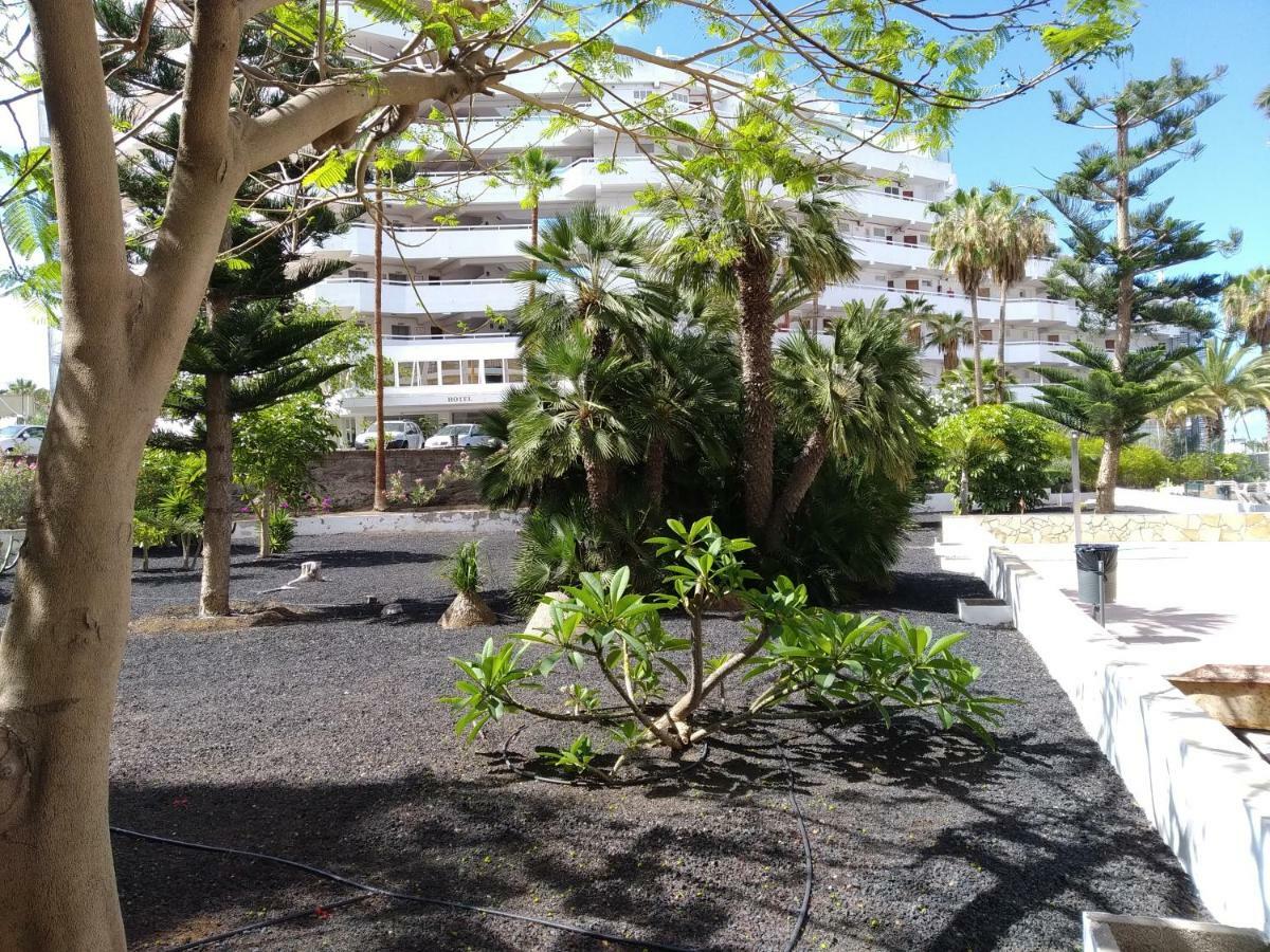Vina Del Mar Apartment Playa de las Americas  Exterior photo